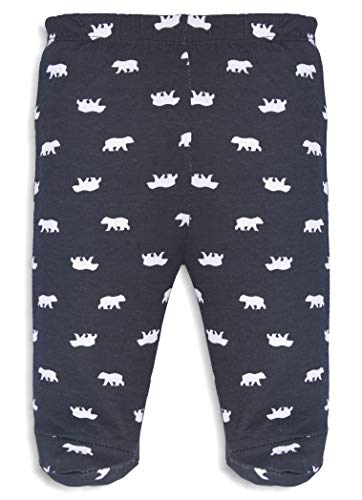 minicult Baby's Cotton Prints Bootie Pants Combo (Multicolour) - Pack of 6